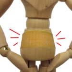 市販の腰痛コルセット/腰痛ベルトおすすめランキング3選